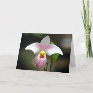 Cartão de Saudação Orquídea Branco/Rosa