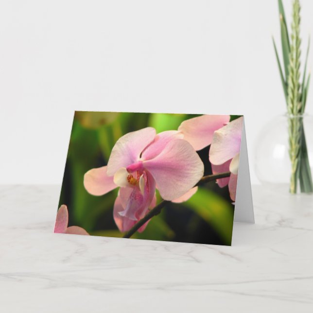 Cartão de Saudação Orquídea Rosa (Frente)
