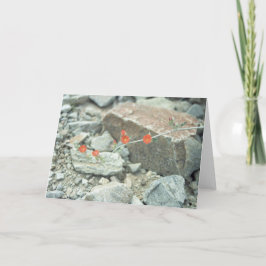 Cartão de Saudação ou Cartão de Nota do Deserto So