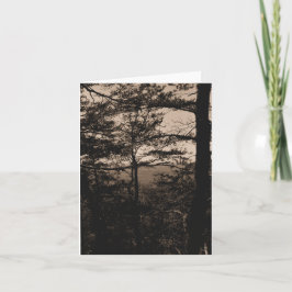 Cartão de saudação Paisagem Florestal