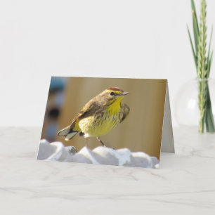 Cartão de Saudação Palm Warbler