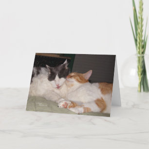 Cartão de Saudação para Felinos Bonitos Ausentes