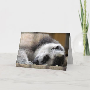Cartão de saudação para Lemur adormecido