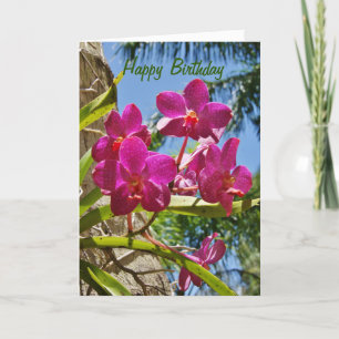Cartão de Saudação para Orquídeas Feliz Aniver