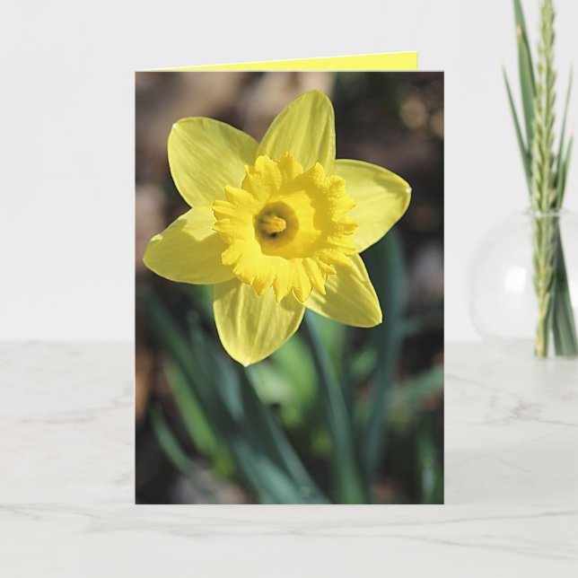 Cartão de saudação para Primavera! (Frente)