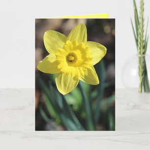 Cartão de saudação para Primavera!