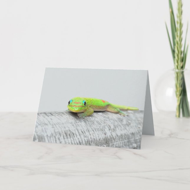 Cartão de saudação para todas as ocasiões do Gecko (Frente)