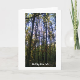 Cartão de Saudação - Passo de Verão em Pine Lake