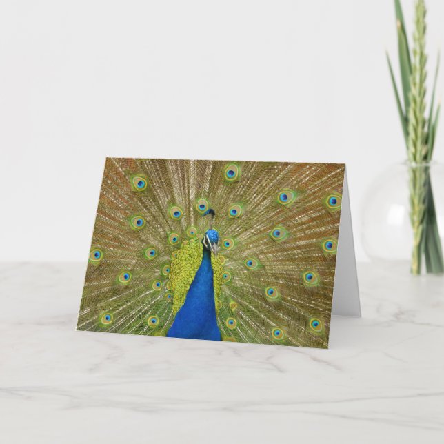 Cartão de Saudação Peacock (Frente)