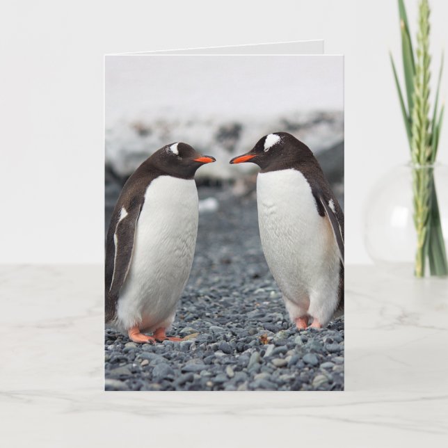 Cartão de saudação PENGUIN AMIGO AMIGO (Frente)