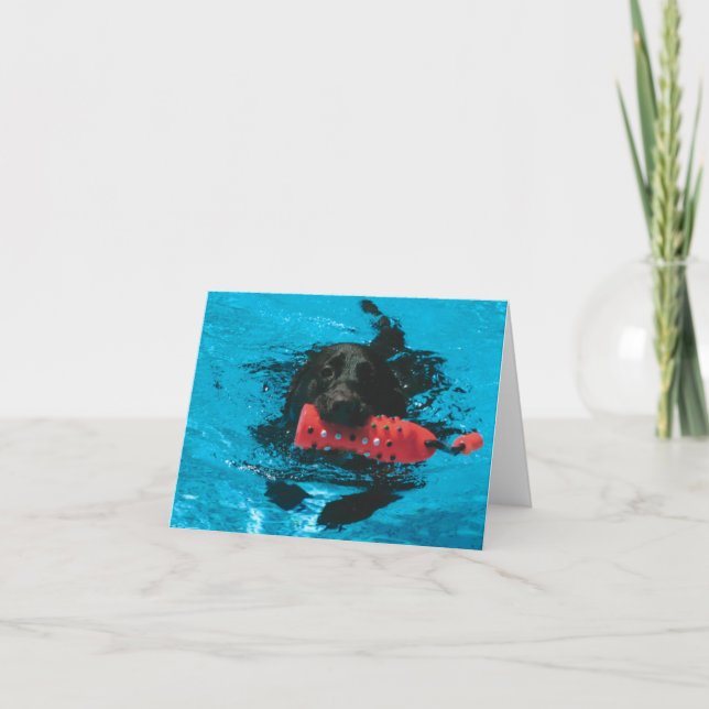 Cartão de saudação pequeno (Frente)