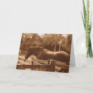 Cartão de saudação Percheron