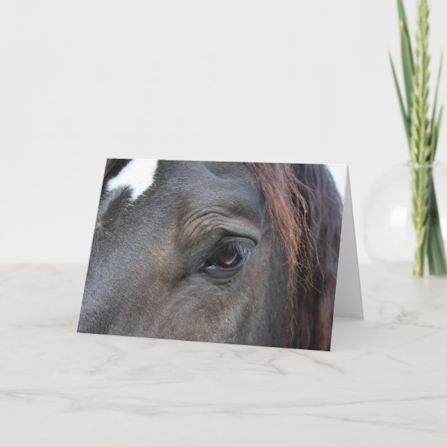 Cartão de Saudação Percheron Horse (Frente)