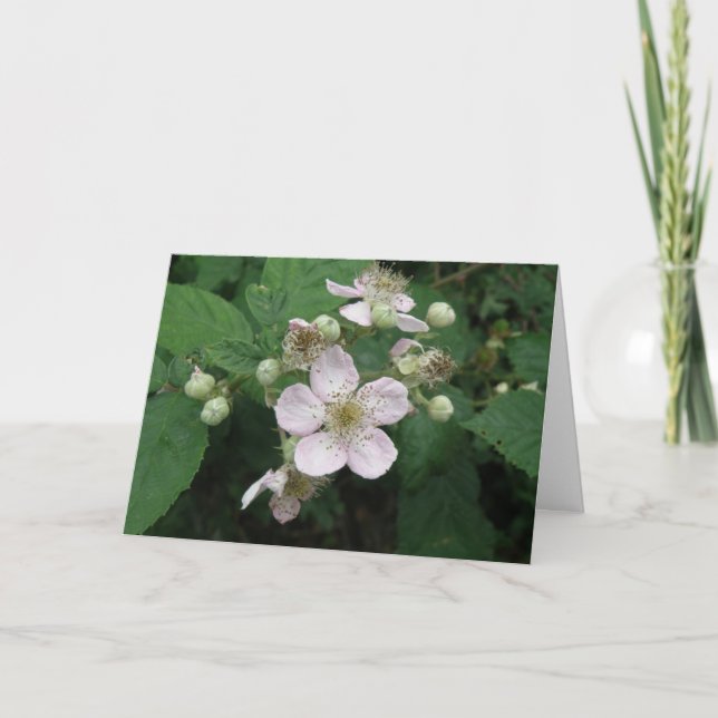 Cartão de Saudação Personalizado das Flores de Bla (Frente)