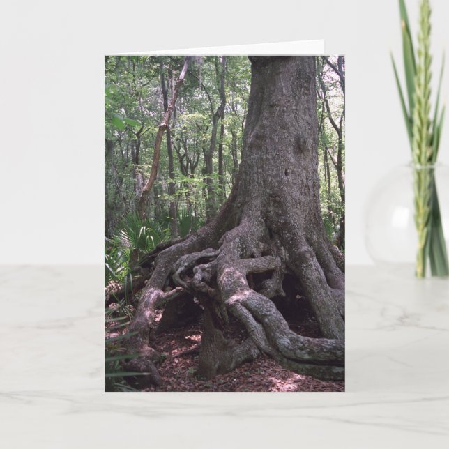 Cartão de Saudação Personalizado de Artefato India (Frente)