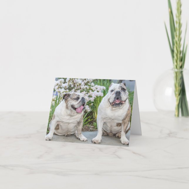 Cartão de Saudação Personalizado para Bulldog Boni (Frente)