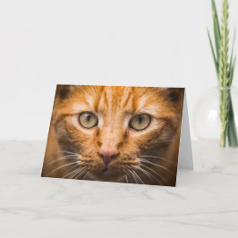 Cartão de saudação personalizável de fechamento de