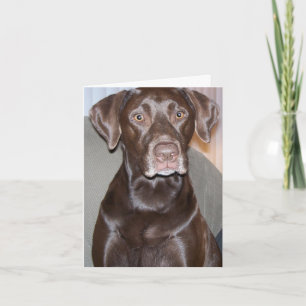 Cartão de saudação personalizável de todas as ocas