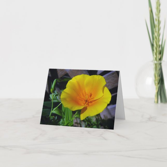 Cartão de Saudação Poppy (Frente)