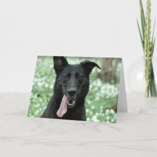 Cartão de Saudação Preto Shepherd
