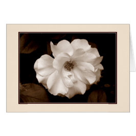 Cartão de saudação 'Primavera Rosa (Sepia)'