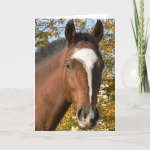 Cartão de Saudação Quarter Horse