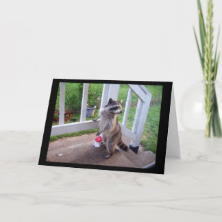 Cartão de Saudação Raccoon