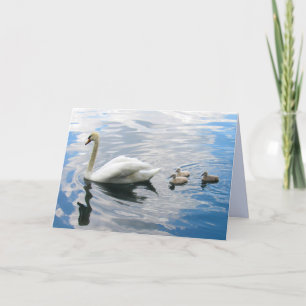 Cartão de Saudação Real Mute Swan e Cygnet Dobrado