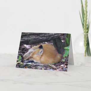 Cartão de Saudação Red Fox