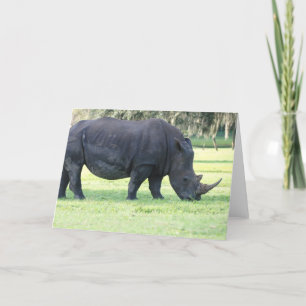 Cartão de Saudação Rino Grazing