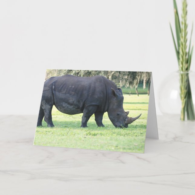 Cartão de Saudação Rino Grazing (Frente)