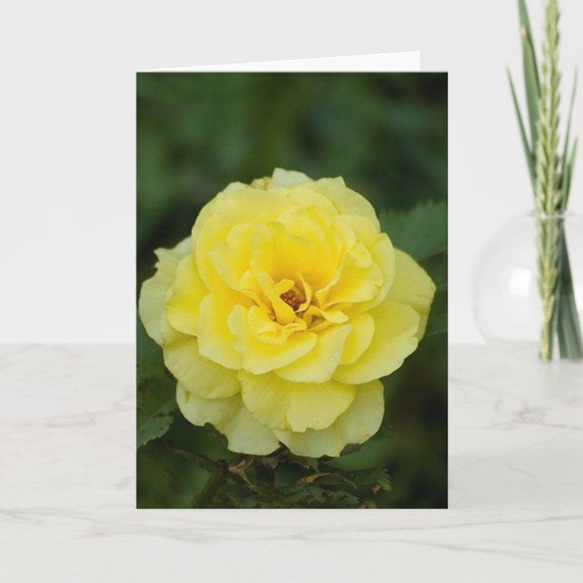 Cartão de Saudação Rosa Amarelo (Frente)