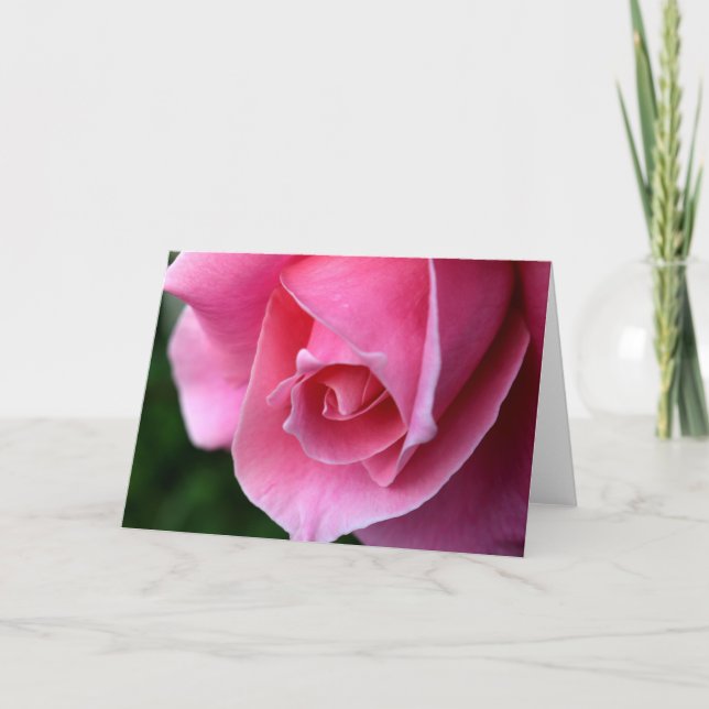 Cartão de Saudação Rosa Rosa Bonito (Frente)