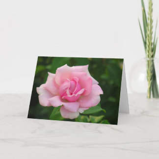 Cartão de Saudação Rosa Rosa Rosa Rosa Rosa Rosa R
