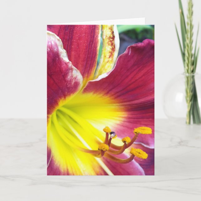 Cartão de Saudação Ruby Day Lily (Frente)