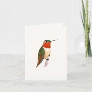 Cartão de Saudação Rufous Hummingbird