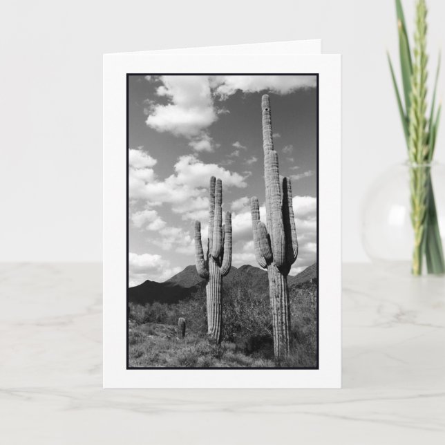 Cartão de Saudação Saguaro Sentinels (Frente)