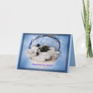 Cartão de Saudação Samoyed Puppy: Celebração "Gotc