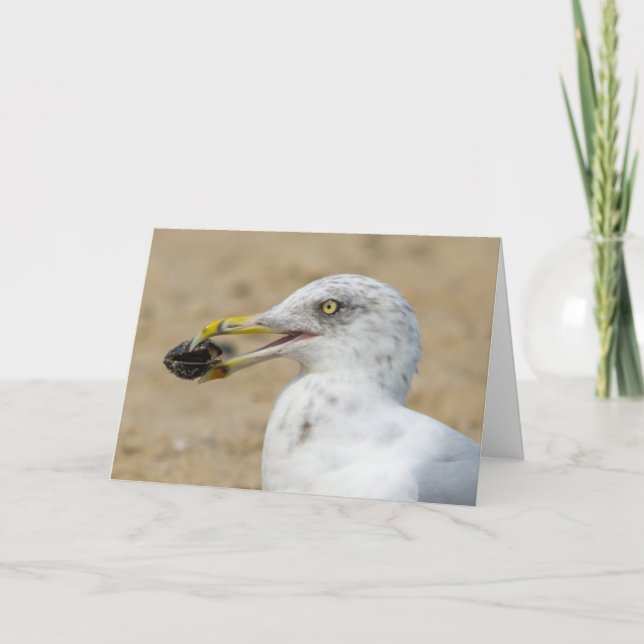Cartão de saudação - Seagull com mexilhão (Frente)