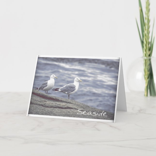Cartão de Saudação Seagulls (Frente)