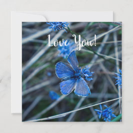 Cartão de Saudação Simples