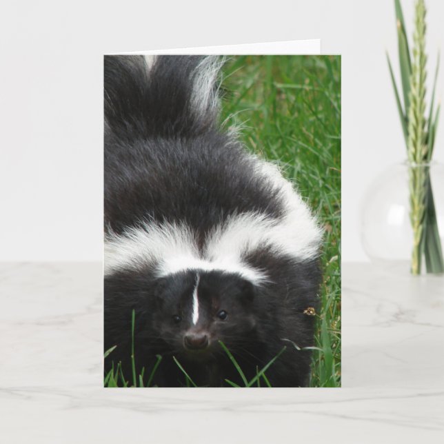 Cartão de Saudação Skunk (Frente)