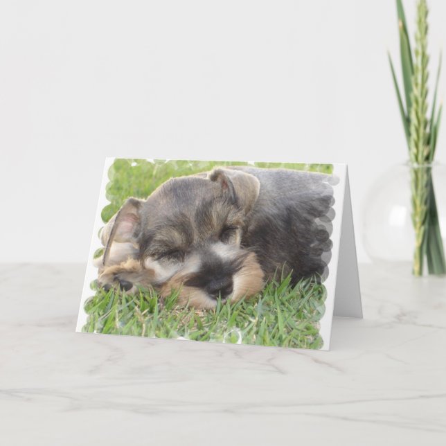 Cartão de Saudação Snoozing Schnauzer (Frente)