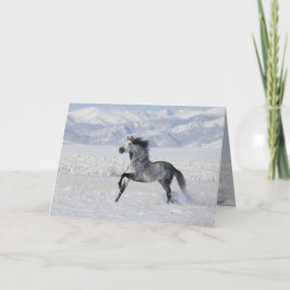 Cartão de Saudação Snowy Stallion Running Horse