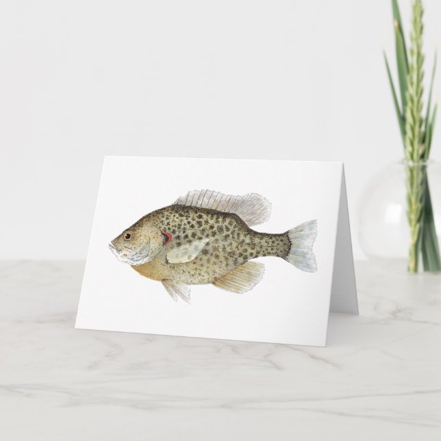 Cartão de Saudação Sunfish (Frente)