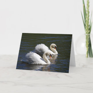 Cartão de saudação Swan