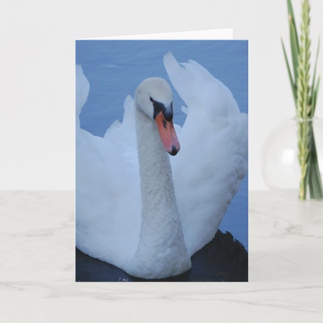 Cartão de saudação Swan (Frente)