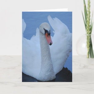 Cartão de saudação Swan