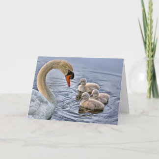 Cartão de Saudação Swan & Babies