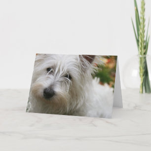 Cartão de Saudação Terrier da Highland Ocidental